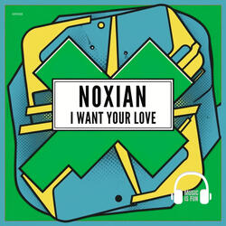 I Want Your Love