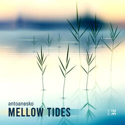 Mellow Tides
