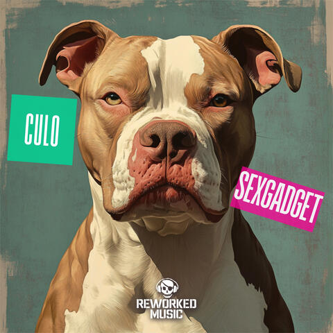 Culo