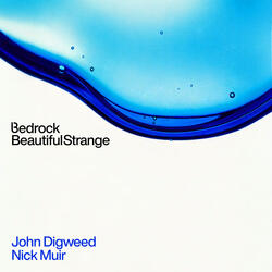 Beautiful Strange