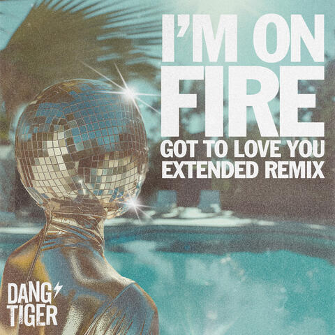 I'm on Fire - Got To Love You Extended Remix