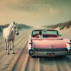 PASSENGER SEAT