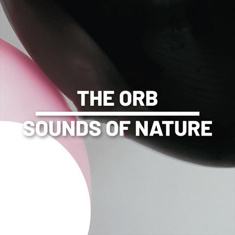 The Orb