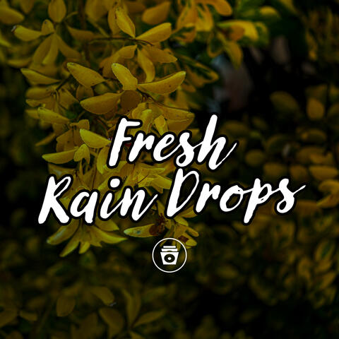 Fresh Rain Drops