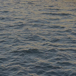 Omniscient Inversion