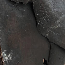 movement05 (education)