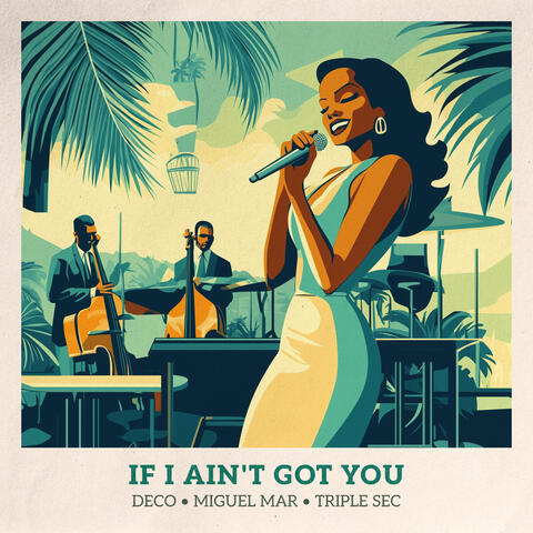 If I Ain't Got You