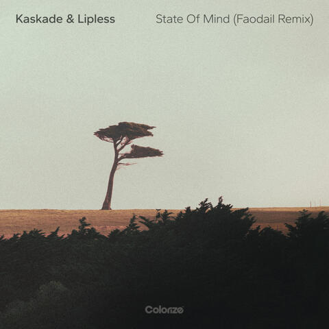 State Of Mind (Faodail Remix)