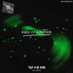 BIRDS OF A FEATHER - DnB