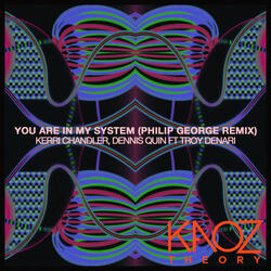 You Are In My System