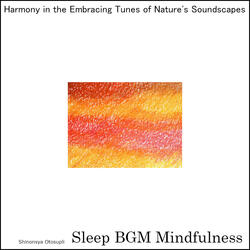 Journey Within Through Heartbeats In The Night