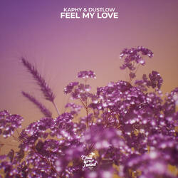Feel My Love