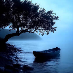 Silence in the Universe