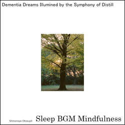 Whispers of Inner Peace Meld With Neurological Tunes For Sound Sleep