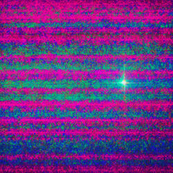 And Palms Don't Lie She Says