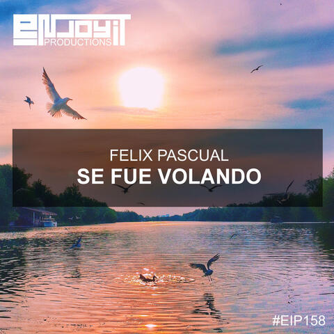 Se Fue Volando