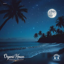 Do You See The Light