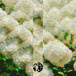 Make Minimal Great Again