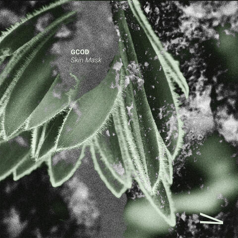 Skin Mask [VARIA001]