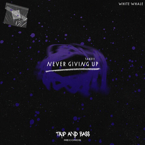 Never Giving Up