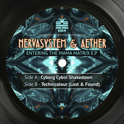 Cyborg Cybin Shakedown