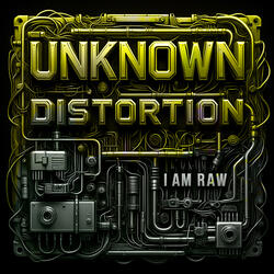 UNKNOWN DISTORTION