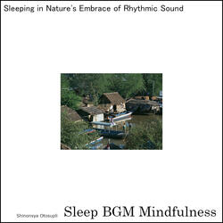 Journey of Sleep with Soundscapes of Emotional Healing