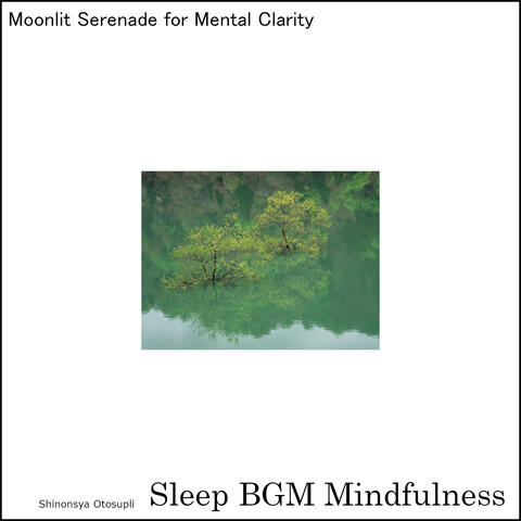 Moonlit Serenade for Mental Clarity