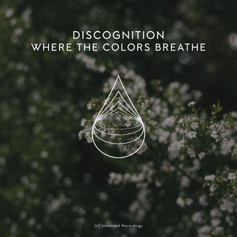 Where the Colors Breathe