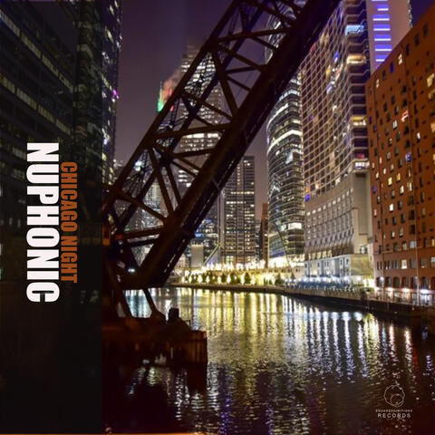 Chicago Night