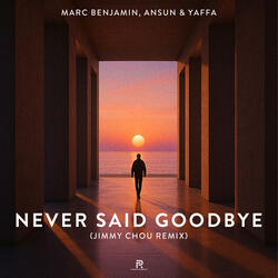 Never Said Goodbye