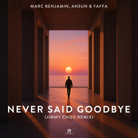 Never Said Goodbye (Jimmy Chou Remix)