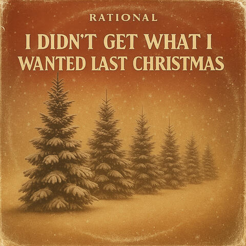 I DIDN'T GET WHAT I WANTED LAST CHRISTMAS