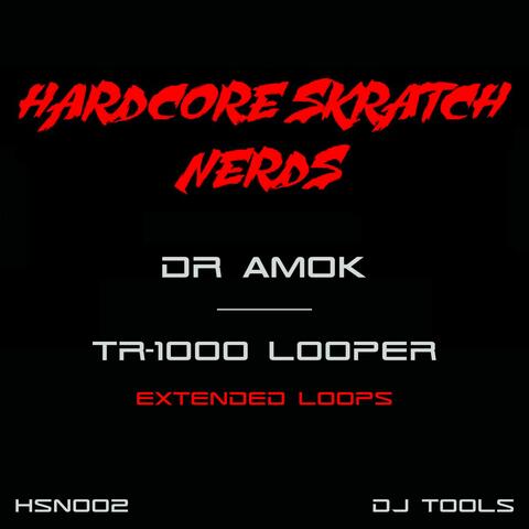 TR-1000 Looper (Extended Loops)