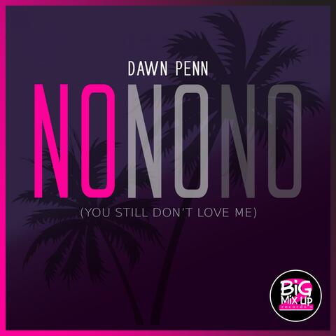 No No No (You Still Don't Love Me)