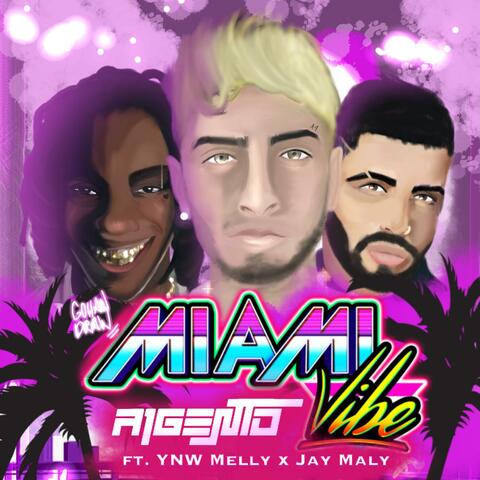 Miami Vibe (feat. YNW Melly & Jay Maly)