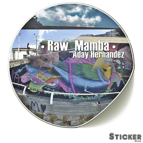 Raw_Mamba