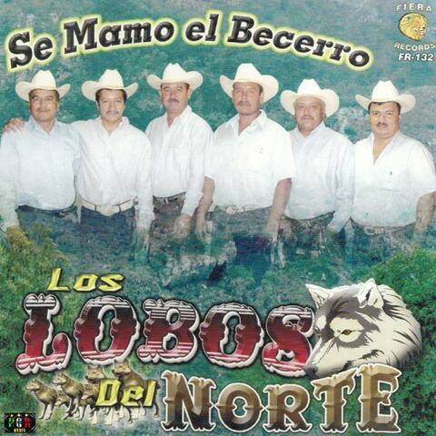 Se Mamo El Becerro