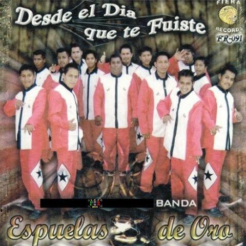 Desde El Día Que Te Fuiste
