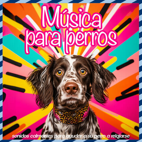 Música para perros: sonidos calmantes para ayudar a su perro a relajarse