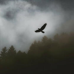 Gallowdance - Slowed