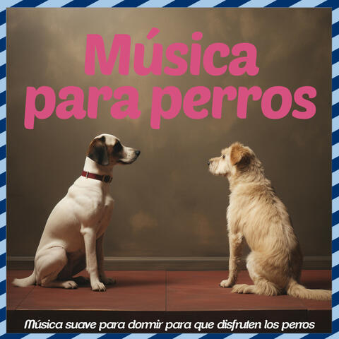 Música para perros: música suave para dormir para que disfruten los perros