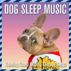 Pet Tunes