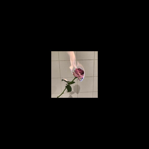 Cigarettes and Sex (Slowed + Reverb)