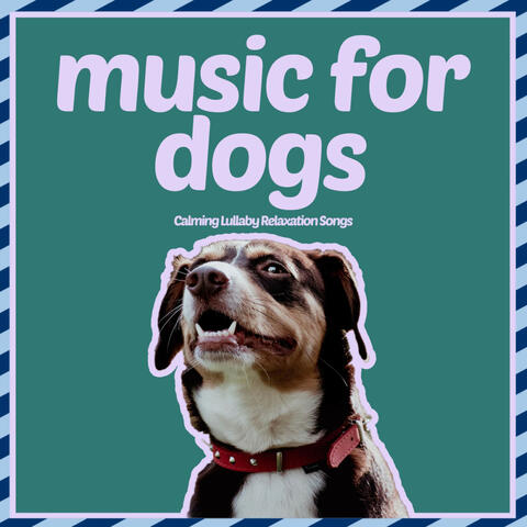 Music for Dogs - Calming Lullaby Relaxation Songs