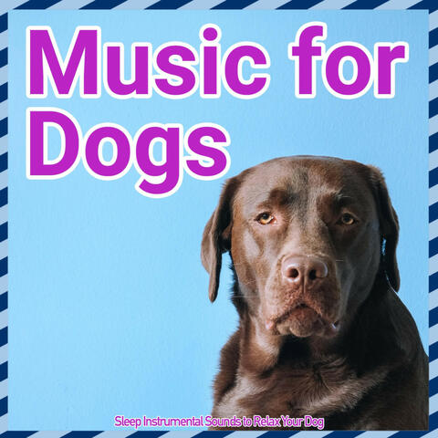 Music for Dogs - Sleep Instrumental Sounds to Relax Your Dog