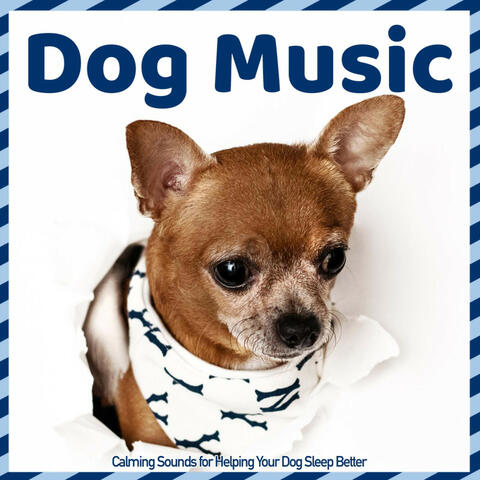 Dog Music - Calming Sounds for Helping Your Dog Sleep Better