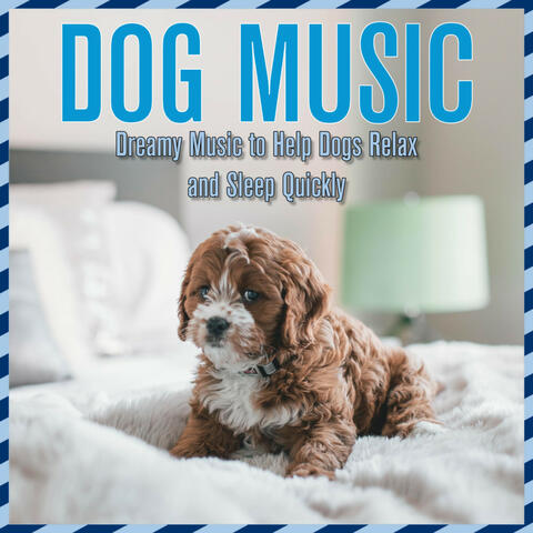 Dog Music: Dreamy Music to Help Dogs Relax and Sleep Quickly
