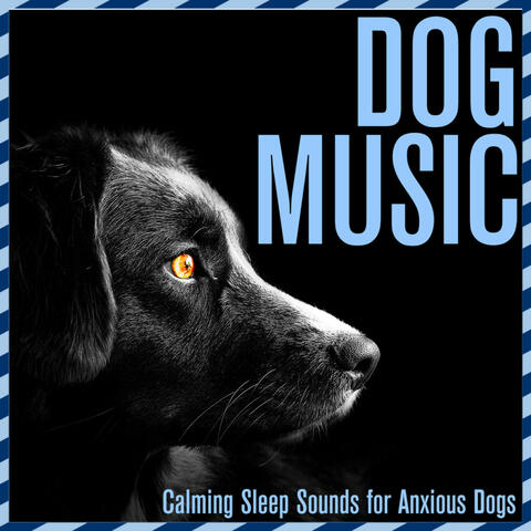 Dog Music: Calming Sleep Sounds for Anxious Dogs