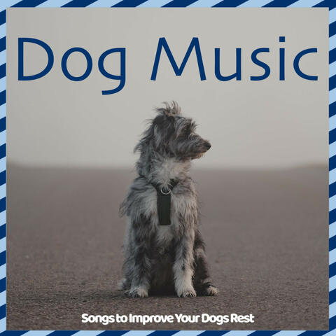 Dog Music - Songs to Improve Your Dogs Rest